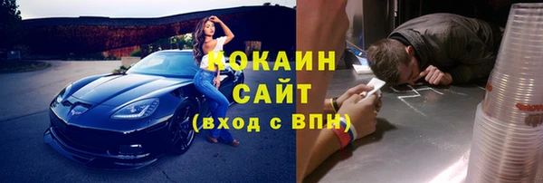 амф Сосновый Бор