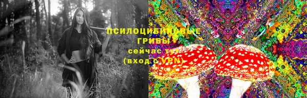 бошки Елизово