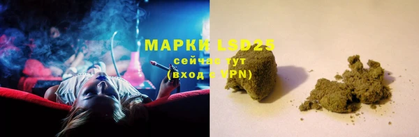 apvp Ельня