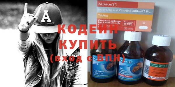 apvp Ельня