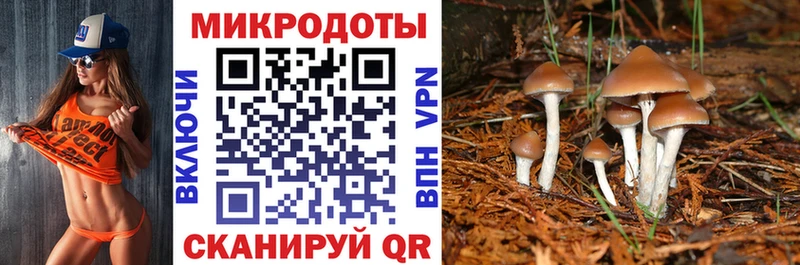 магазин продажи наркотиков  kraken вход  Псилоцибиновые грибы MAGIC MUSHROOMS  площадка официальный сайт  Ростов 